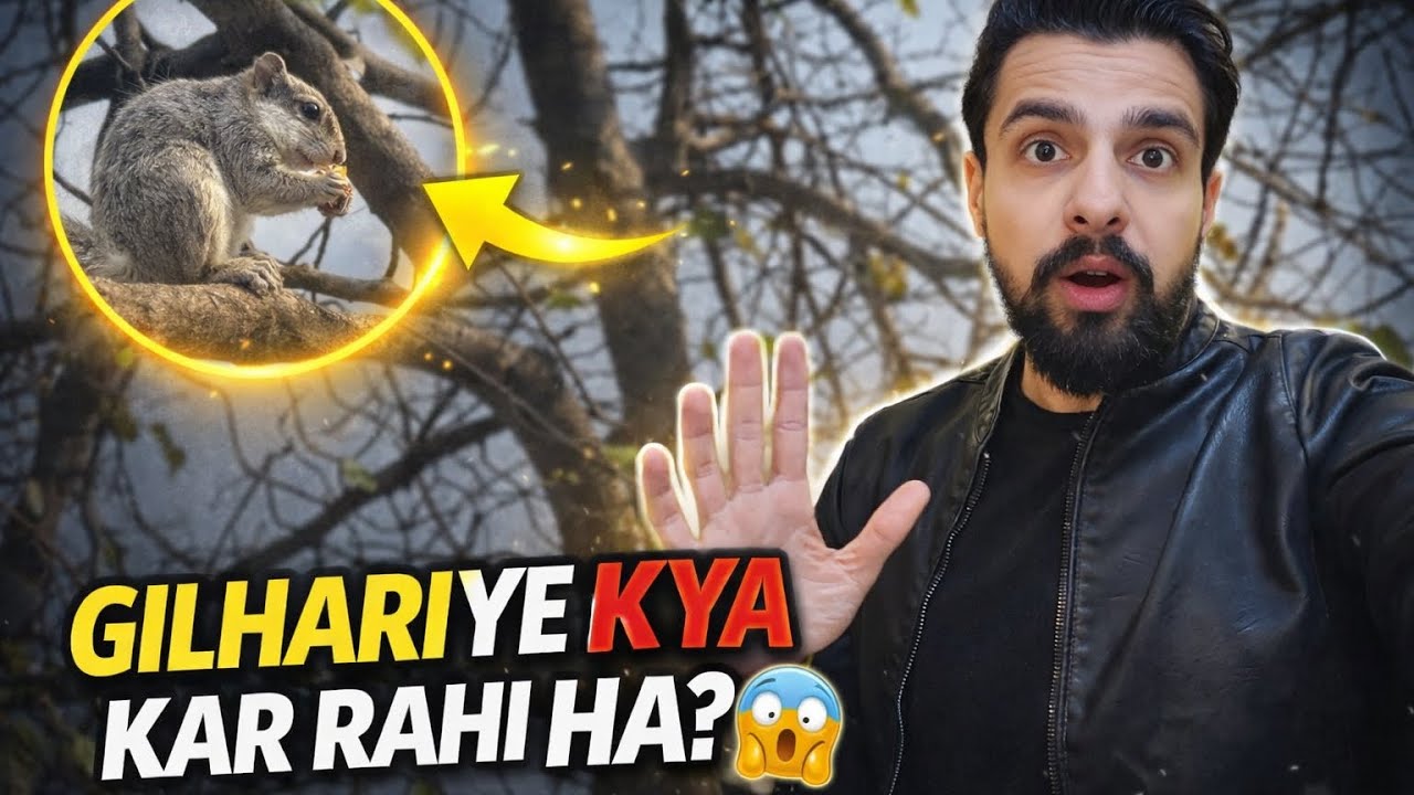 Camera Me Record Ho Gaya 😱 Gilhari Ka Ajeeb Behaviour 