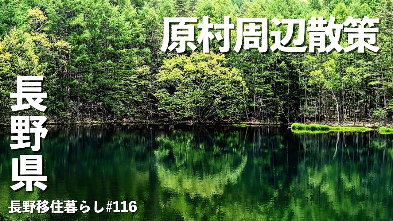 【長野移住】新緑の高原を散策してみたら最高の景色だった!!｜御射鹿池｜原村｜ドライブ｜田舎暮らし｜長野県｜4K