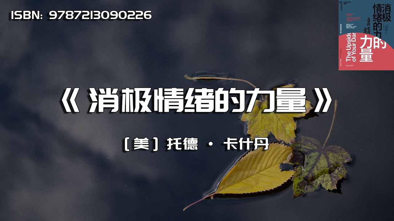 《消极情绪的力量》学会从负面状态中获得正能量