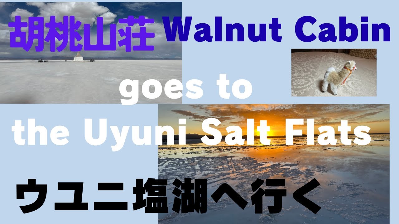 WalnutCabin goes to ウユニ塩湖・サンタクルス, クリスマスディナー