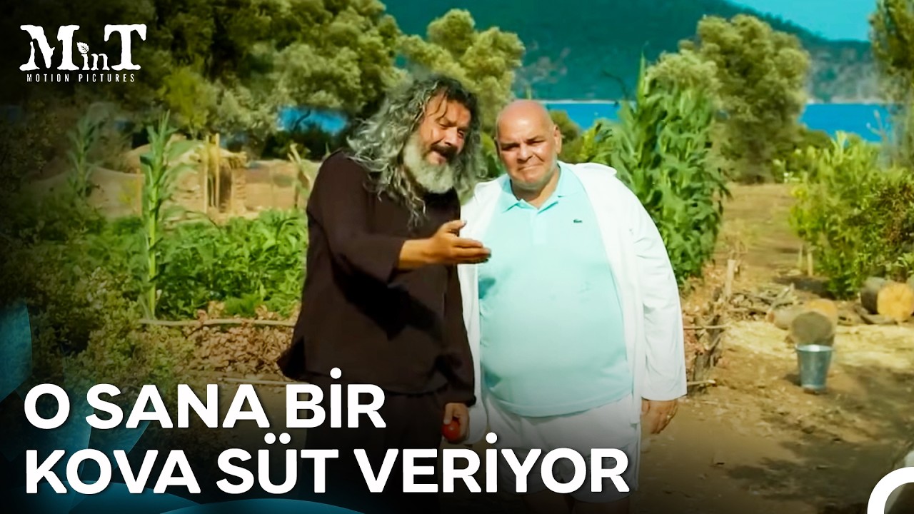 İnek Deyip Geçme Onun Bir İsmi Var! - Mandıra Filozofu İstanbul