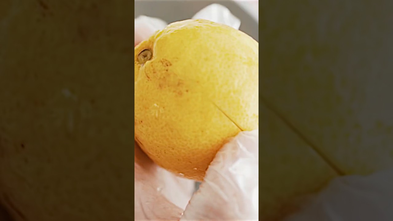 Salz Zitronen Selbermachen #foodlover #foodideas #homemade #shorts_video
