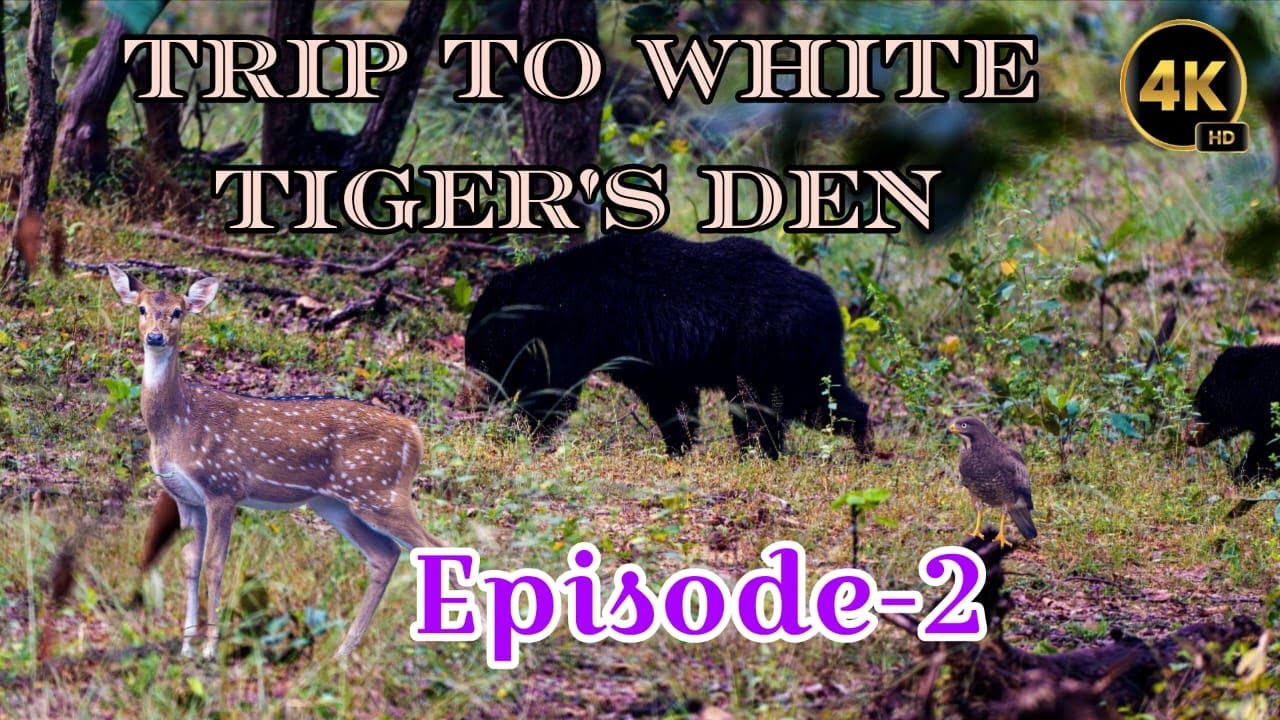 Trip to White Tiger's Den, Episode-2