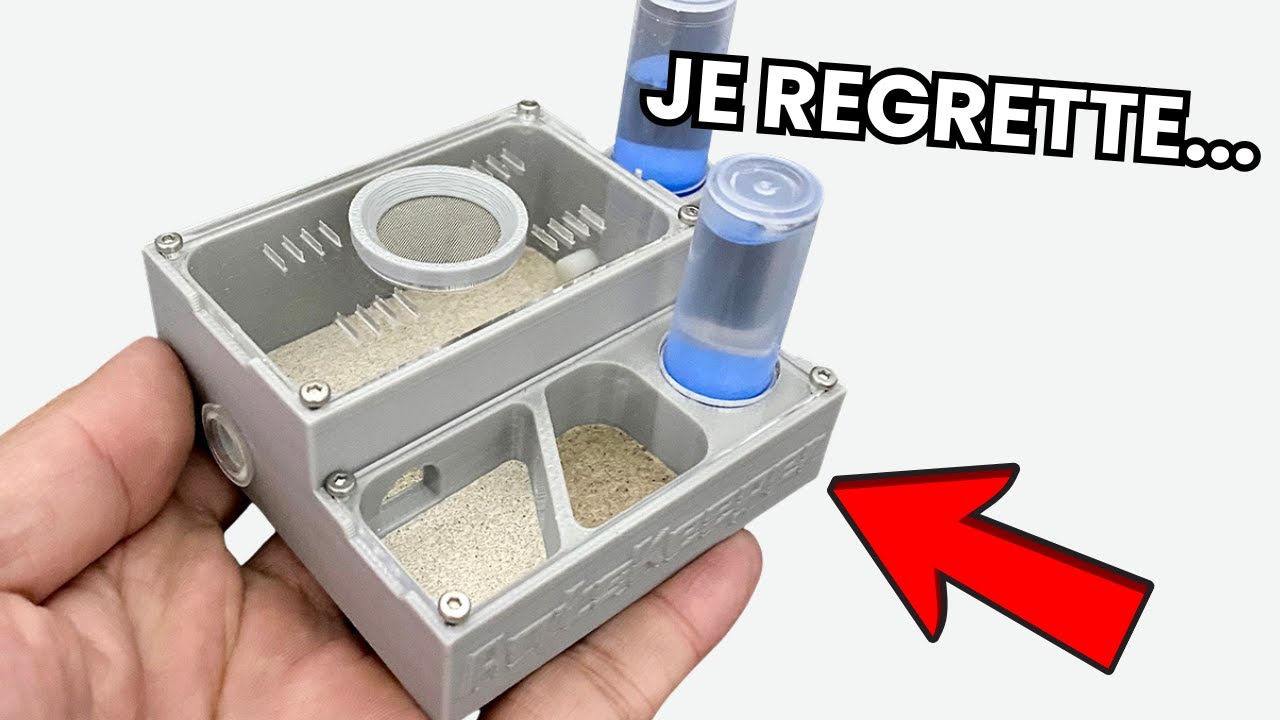 Mon avis sur les nids de fourmis AliExpress !