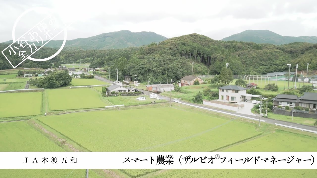 【PR】「小谷あゆみが全力リポート」スマート農業（ザルビオ®フィールドマネージャー）≪熊本県天草市≫
