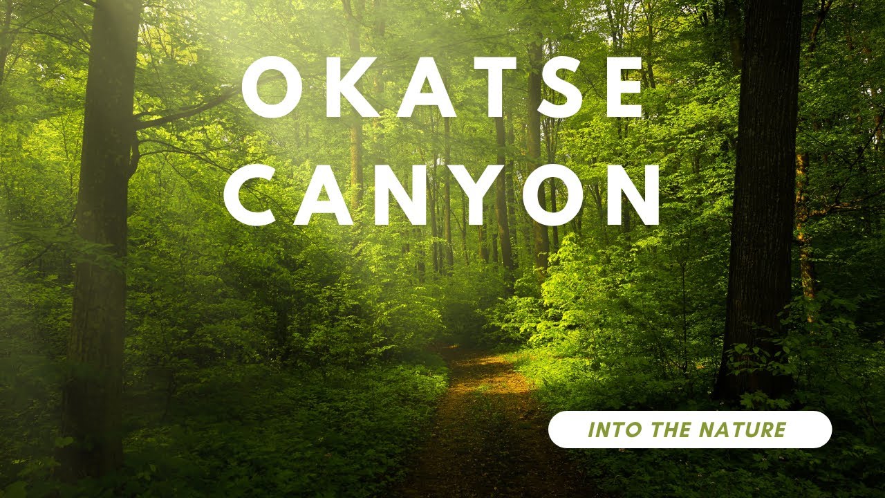 Exploring the Natural Beauty of Okatse Canyon in Georgia