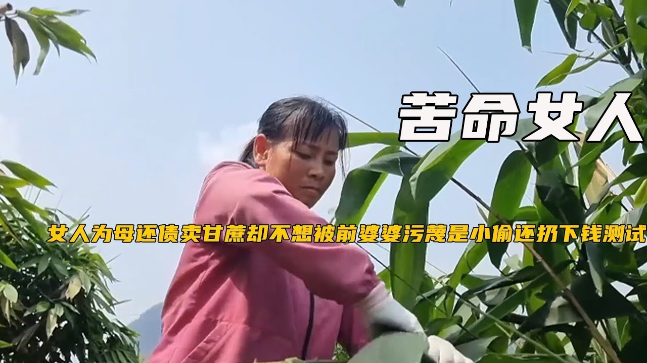 一口气看完系列：女人为母还债卖甘蔗，却不想被前婆婆污蔑是小偷，还扔下钱测试《苦命女人》13-16合集