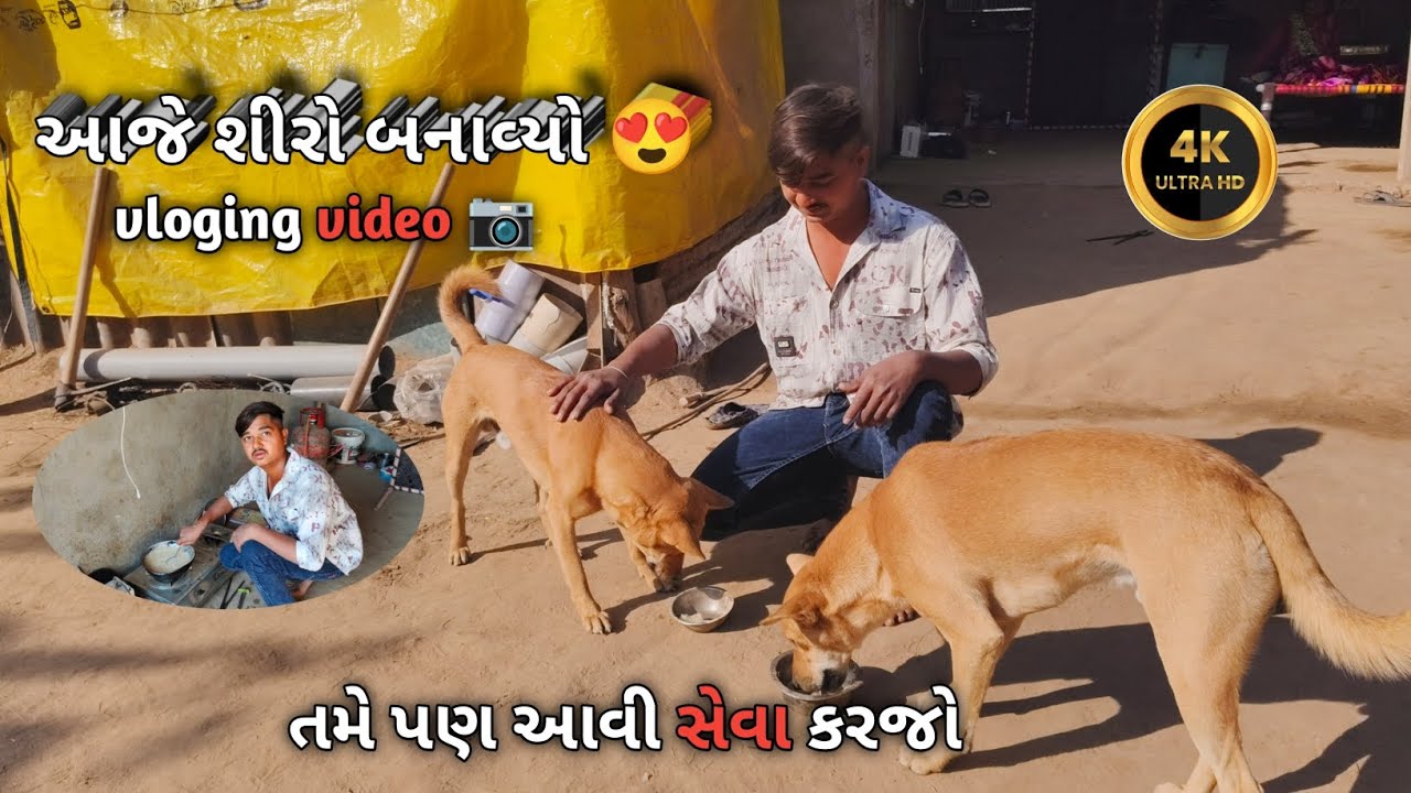 કૂતરાઓ માટે શીરો બનાવ્યો 🤩 full vlog video 📸 / gujarati vlogs #vlogvideo #viralvlogs #myfastvlog 