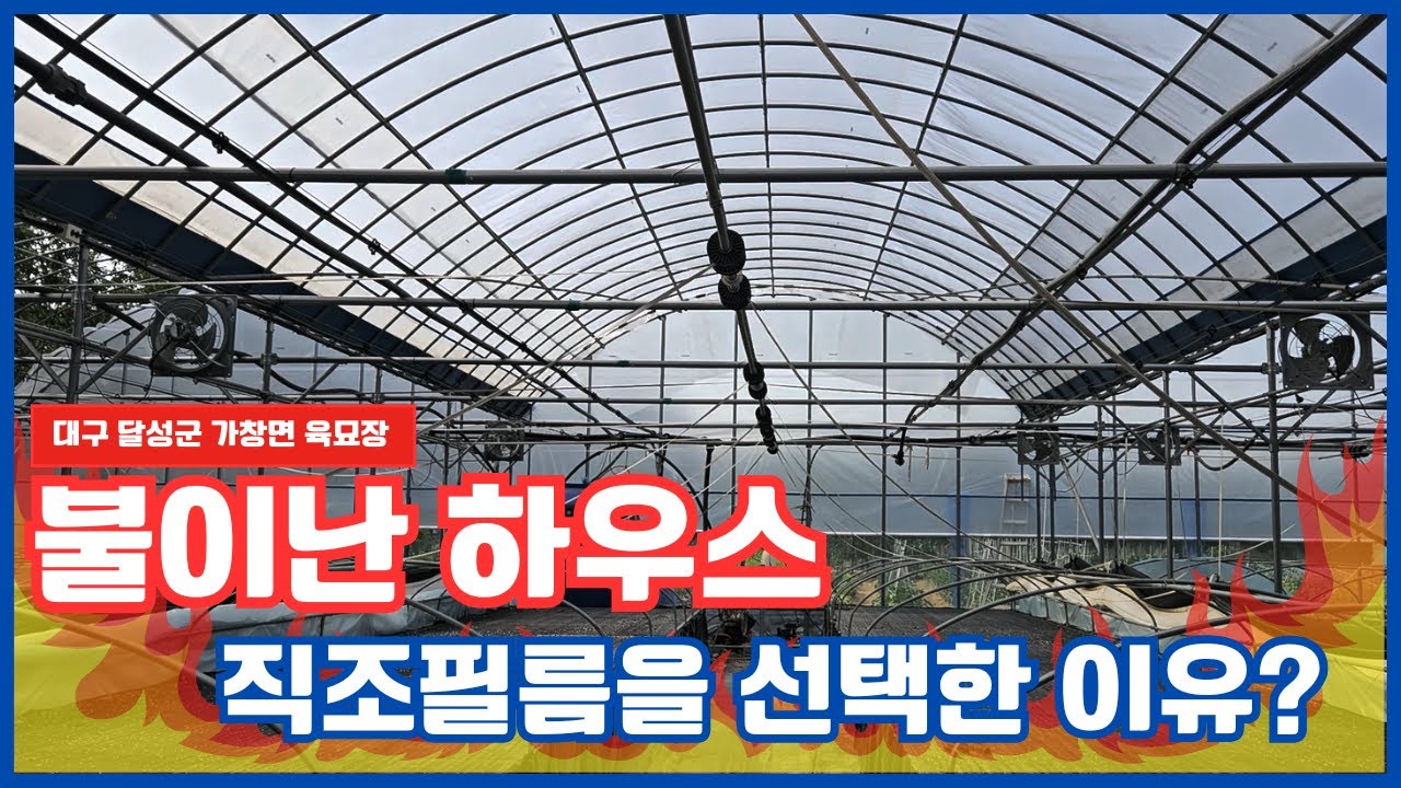 불이난 하우스 직조필름 설치를 한 이유?! 요즘 HOT한 직조필름!