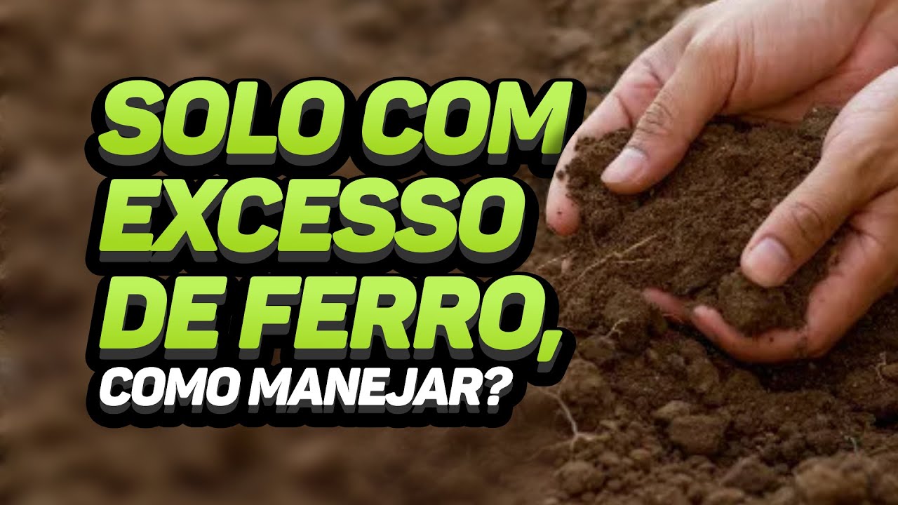 SOLO COM EXCESSO DE FERRO, COMO MANEJAR?