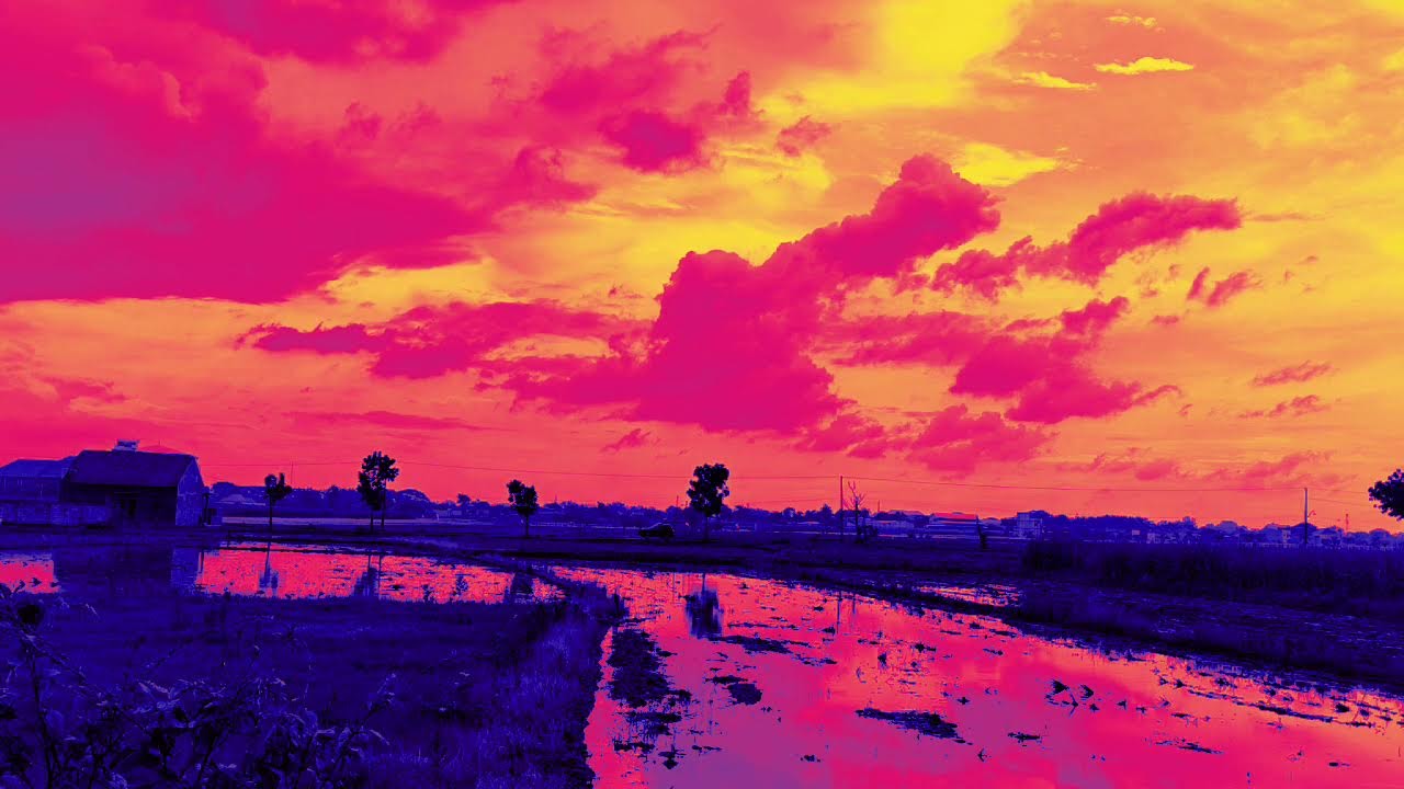 Quiet Ocean Horizon 🌊 Relaxing Sailor Ambient Music | Deep Calm for Sleep & Meditation