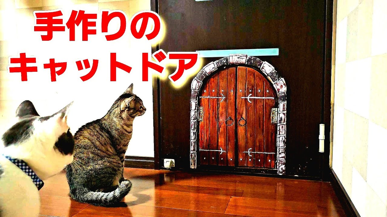 猫のために自作したおしゃれなキャットドア