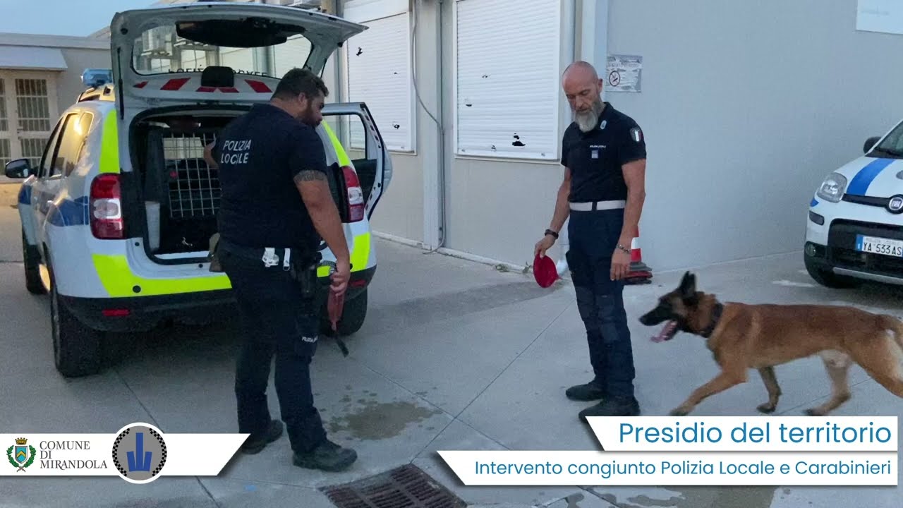 Sicurezza: azione congiunta di Polizia Locale Mirandola e Carabinieri sul territorio comunale