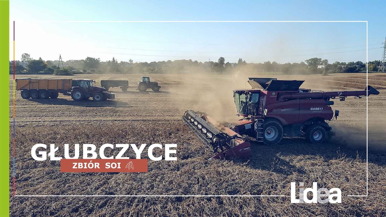 Zbiór soi w Top Farms Głubczyce | LIDEA