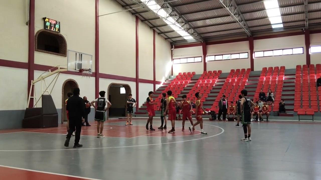Halcones LIJUBACH