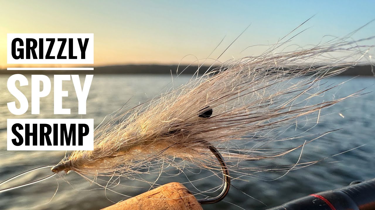Grizzly spey shrimp - Super translucent and lifelike