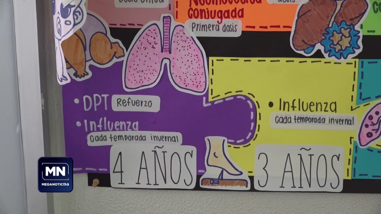 Meganoticias Nogales éste jueves 12 de Febrero de 2026