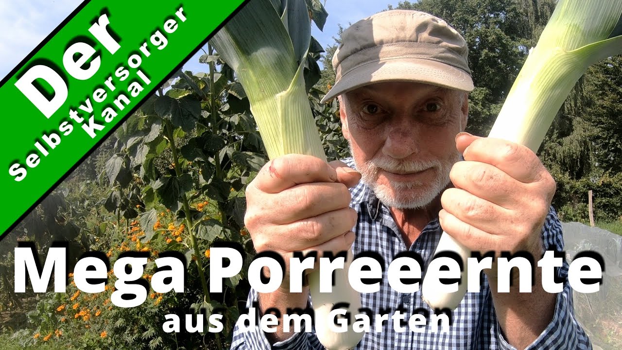 Mega Porreeernte aus dem Garten. Ich bin doch kein 