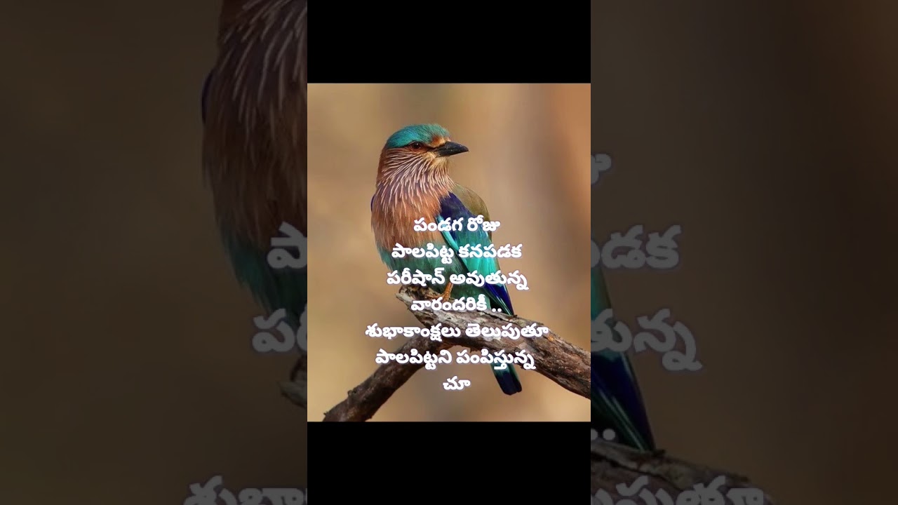 dussera#special#bird