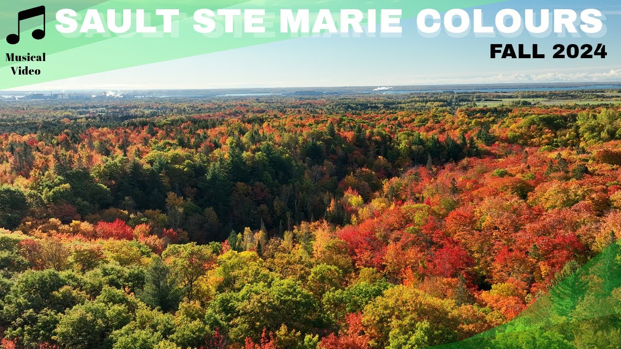 Northern Ontario Fall Colours - Algoma district 2024