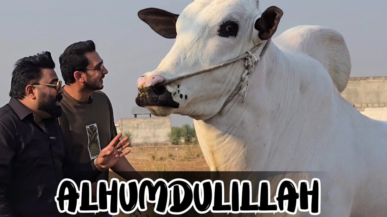 RAMZAN MUBARAK ✨️- Alhumdulillah Allah ka jitna shukr karain kum ha 🤲 - JNTV Vlogs