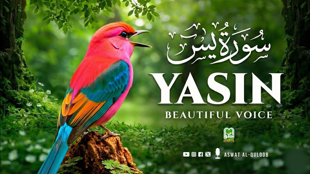 Surah Yasin Full | Most Heart-Touching Recitation | Soulful Voice | سورة يس 