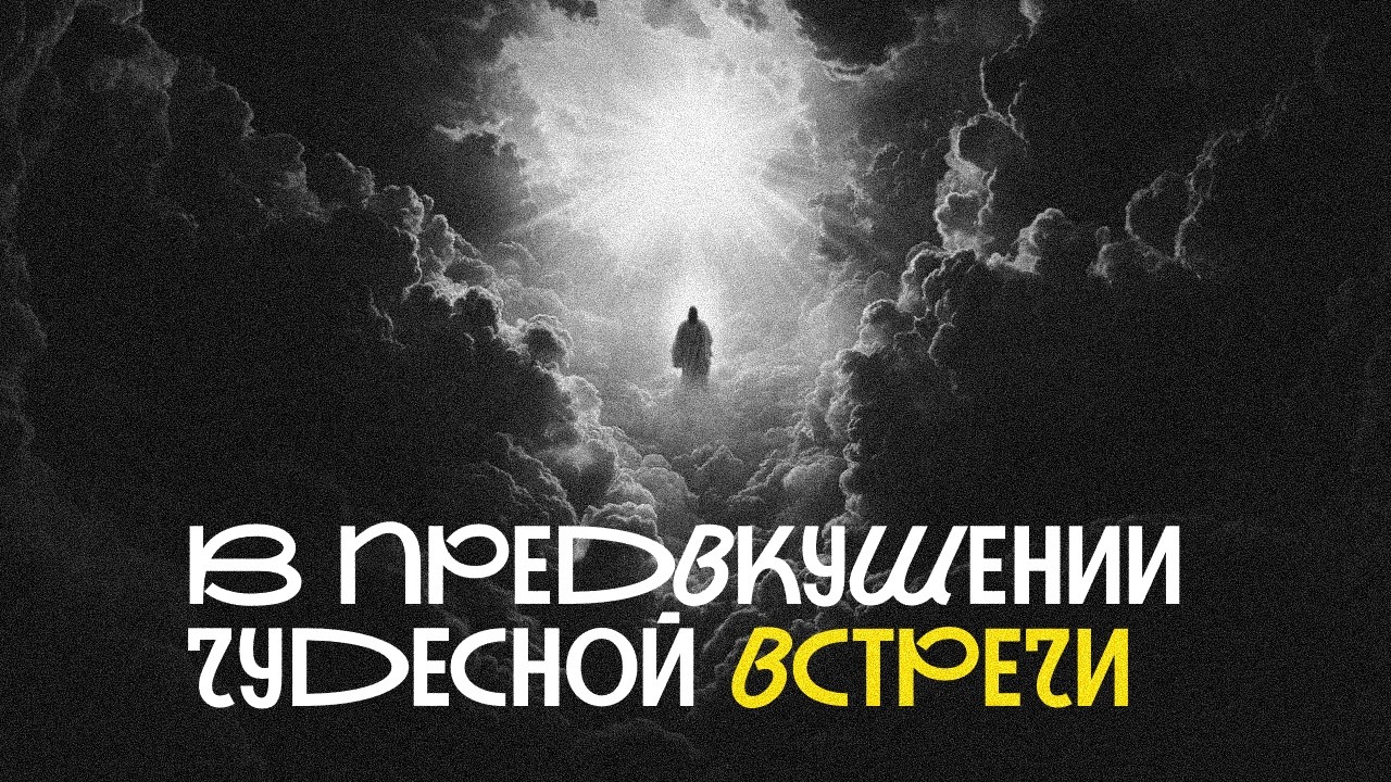 В предвкушении чудесной встречи | 15.02.2026 12:00