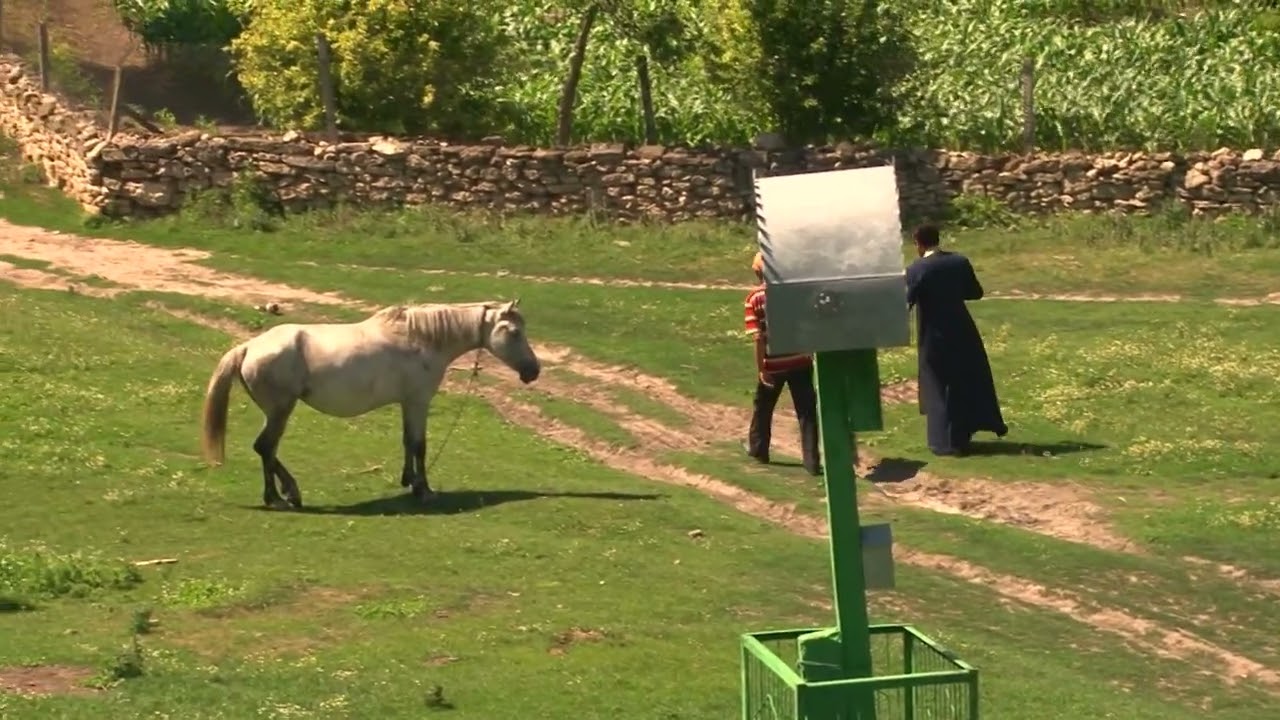 Mîrzaci