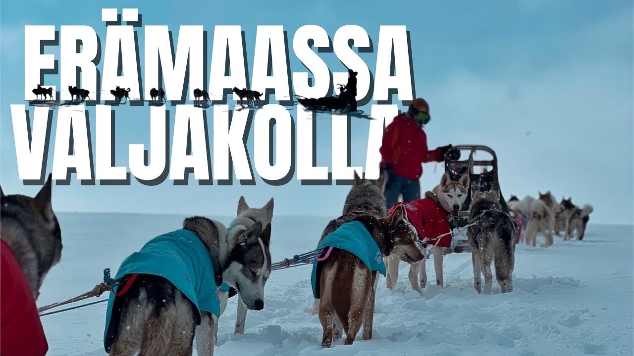 TEKOÄLY AUTTOI PAKKAAMAAN | Koiravaljakkoretki Norjan erämaahan OSA 1