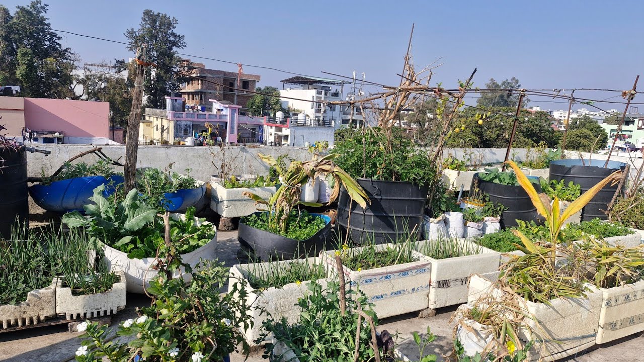07 DEC Garden tour ! #ihavethisthingwithplants #gardening #plants #agriculture #farming 