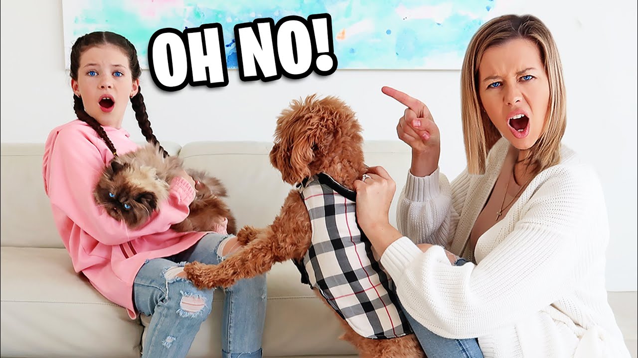 OUR CAT SUSHI MEETS PUPPY REMY FOR THE FIRST TIME... WE DIDN'T EXPECT THIS!! The Empire Family