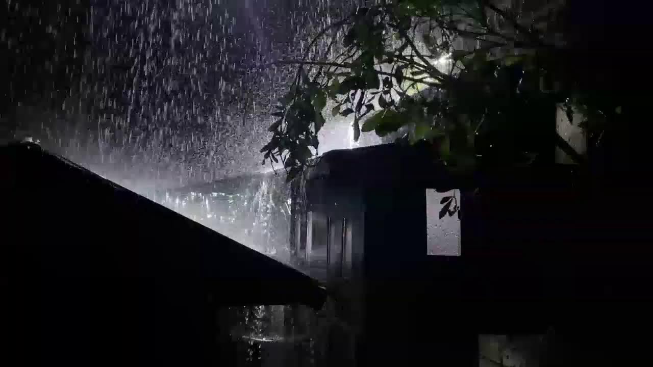 Very Heavy Rain on a Tin Roof to Sleep Immediately with Powerful Thunder Sounds Deep in the Forest