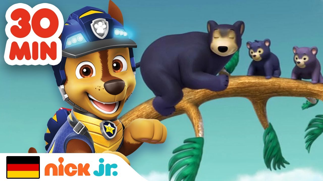 PAW Patrol | 30 MINUTEN voller Rettungen niedlicher Tiere | Nick Jr. Deutschland