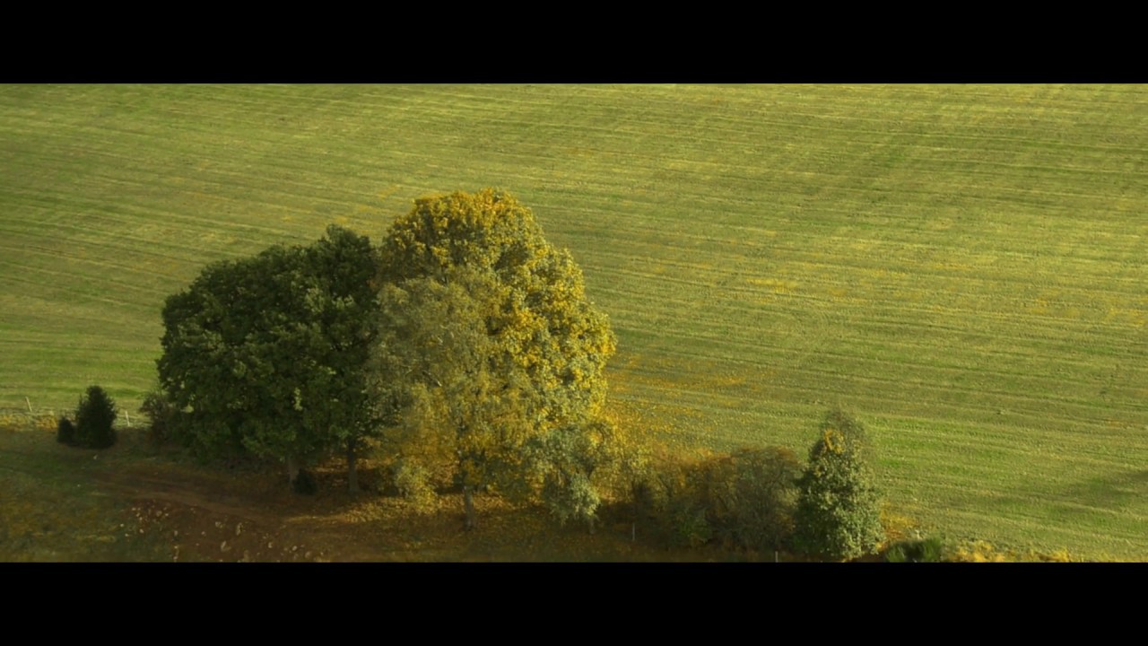 cataya - vis-à-vis