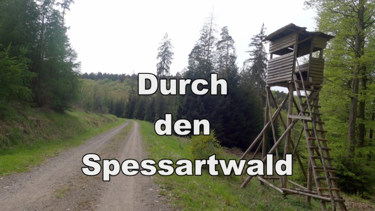 Durch den Spessartwald