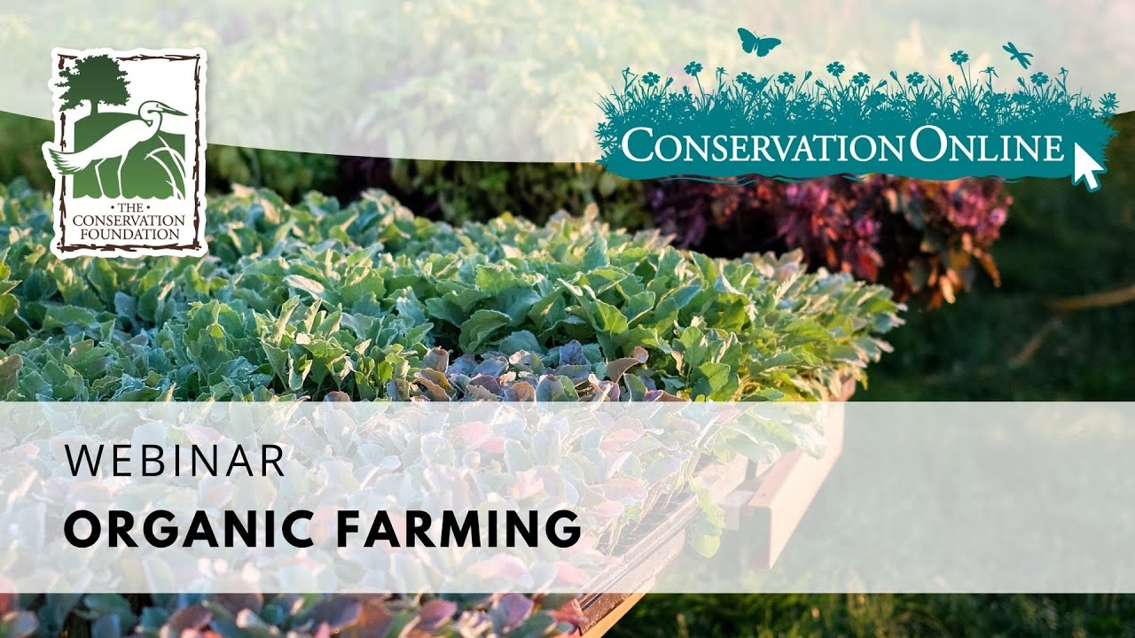 Organic Farming with Green Earth Harvest | Webinar