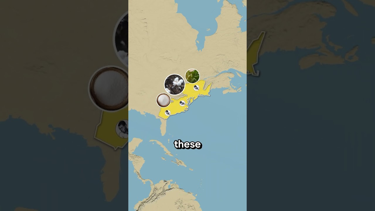 How the Transatlantic Slave Trade Triangle Worked (On a Map) #africanamerican