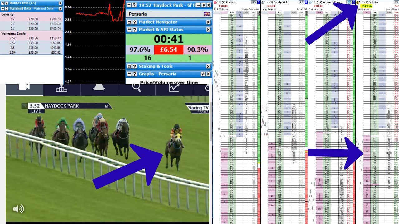 Explaining +&pound;258 trade from a +&pound;861 trading day. In play horse racing.