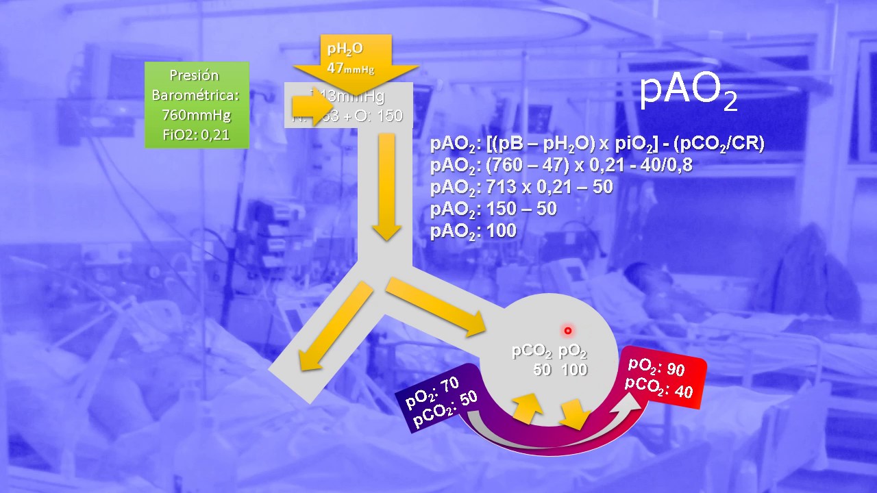 Taller de Ventilación Mecánica 1.2 Fisiología Respiratoria