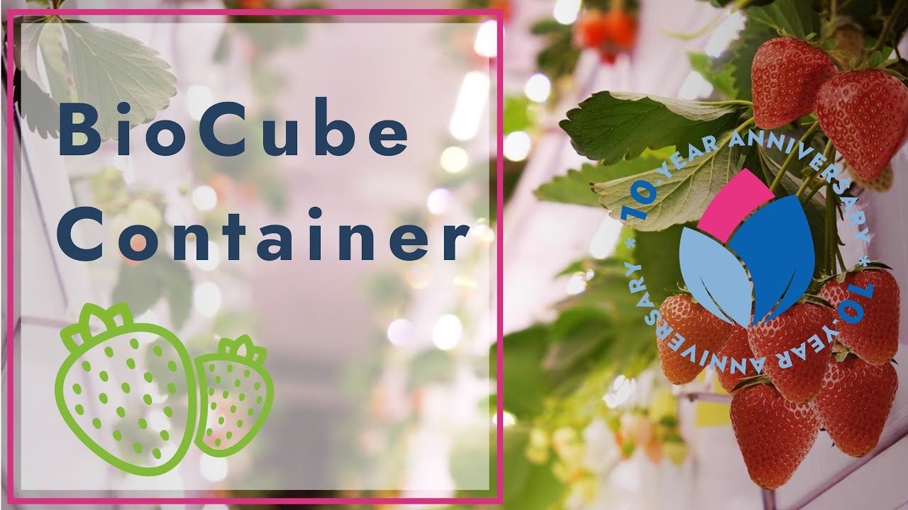 2 TONS of Strawberries/YEAR in ONE Container? 🌱🚀 (BioCube 5.0 Revealed)