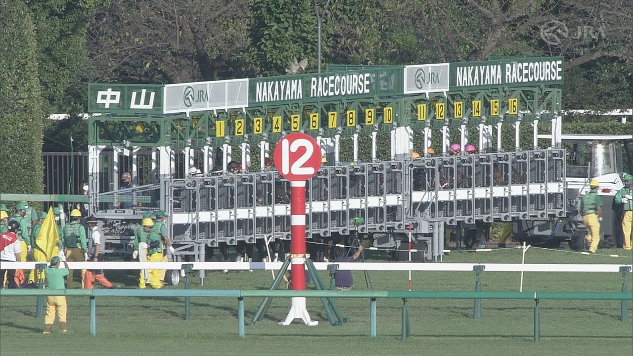2021 Sprinters Stakes (G1) | JRA Official