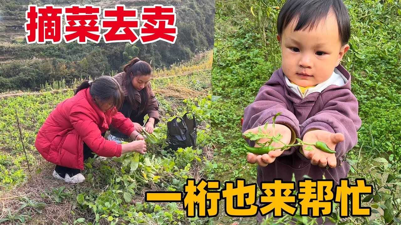 老妈太厉害了，一个人种的菜全家人都吃不完，拿到城里卖肯定很受欢迎，再换成肉补身体