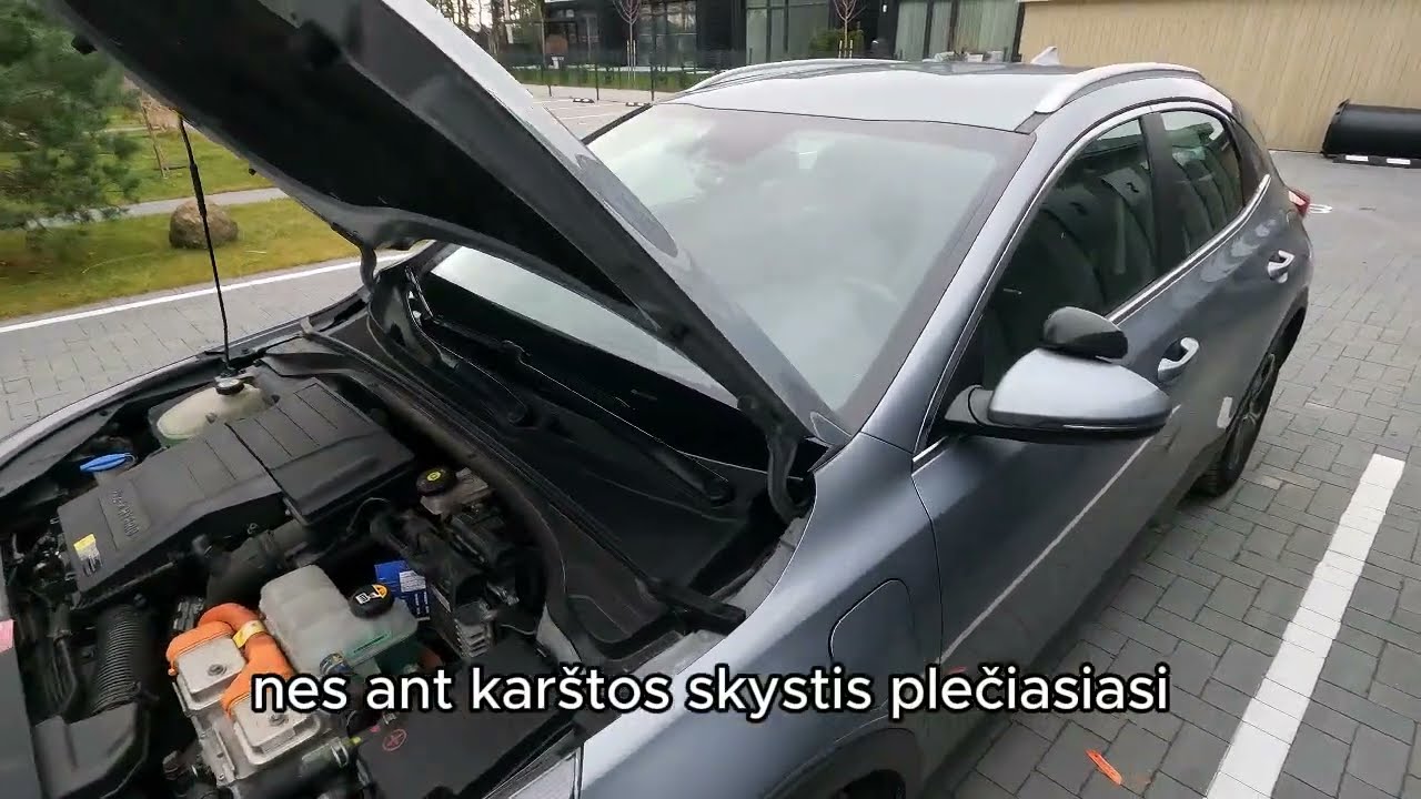 20 klausimų prieš Regitros egzaminą su vertimu į rusų kalbą