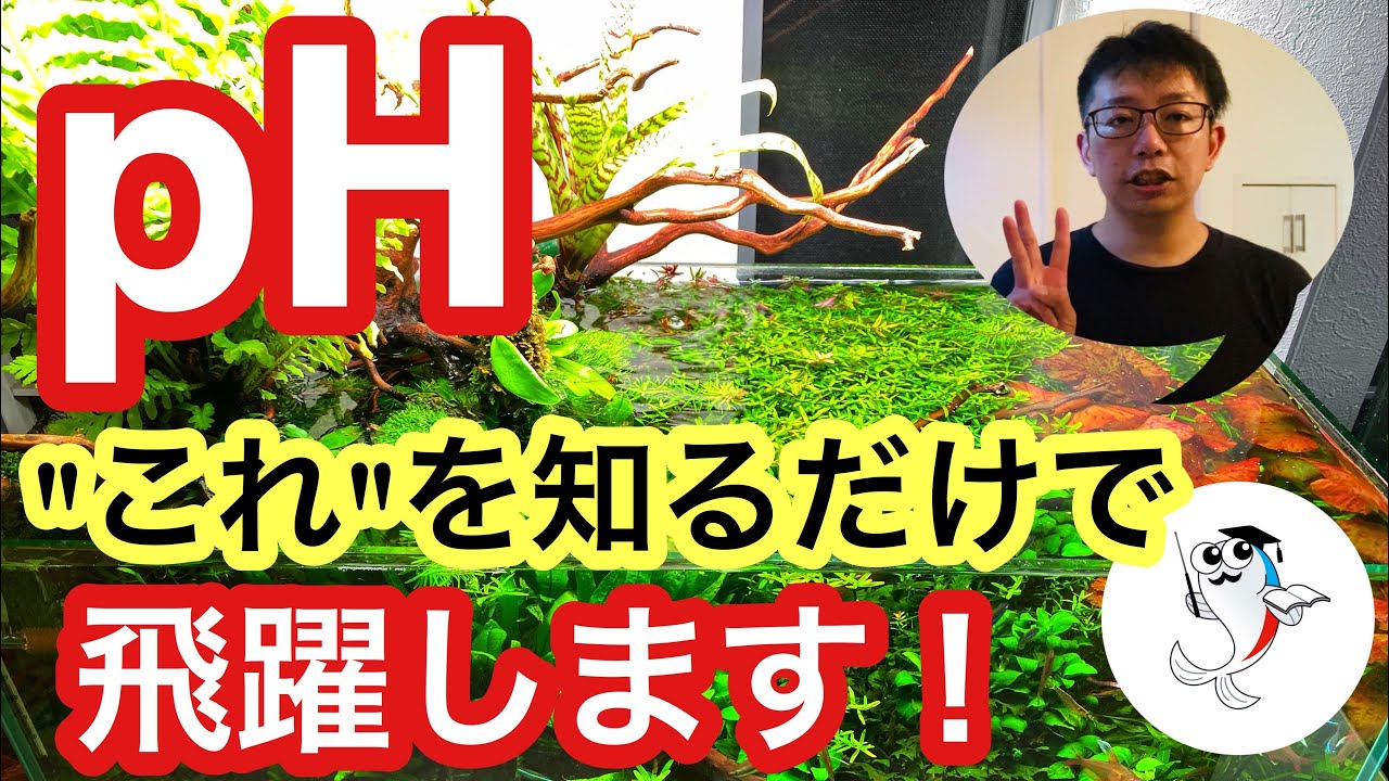 【今さら聞けない】アクアリウムとpHの関係をプロがやさしく解説!!