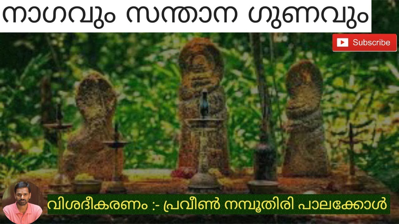 Sarpam and Fertility (നാഗവും സന്താന ഗുണവും )ph 9526040391