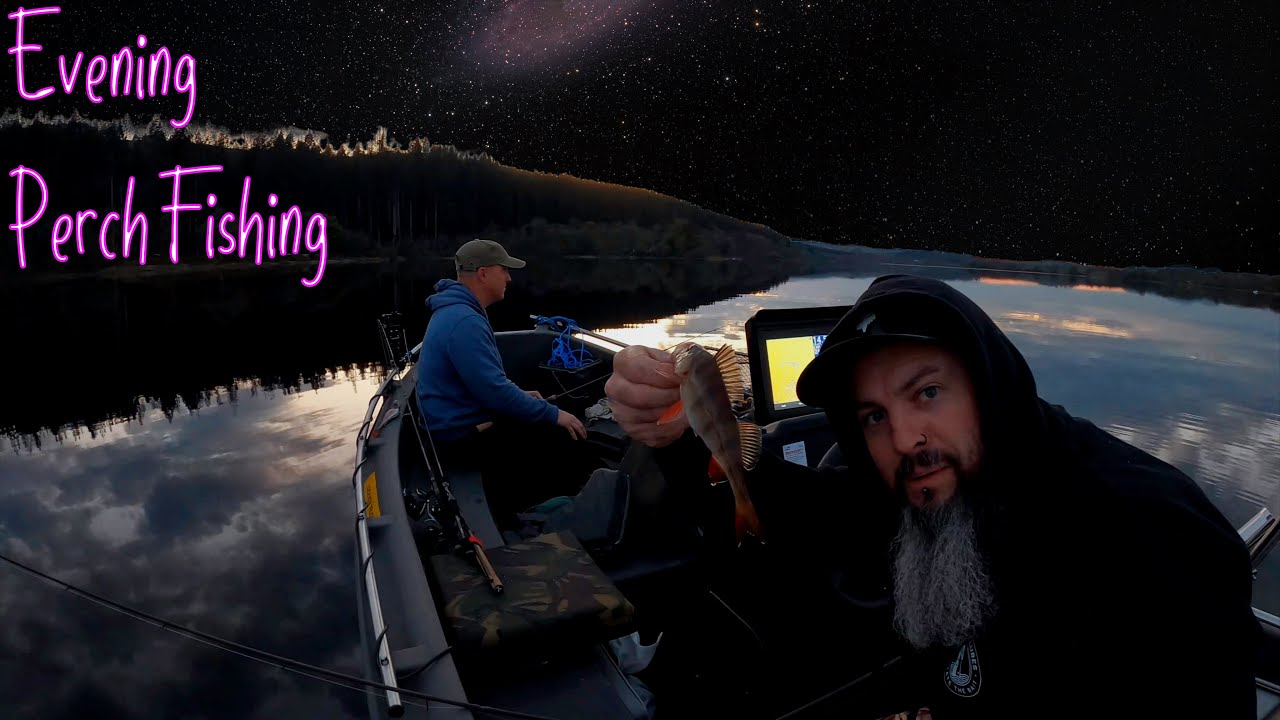Evening PERCH Fishing - Whaly 435 - Boat Fishing Uk - #fishing #perch