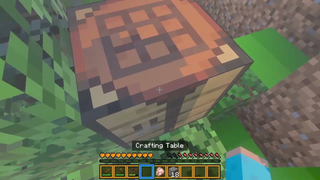 survival world day 1