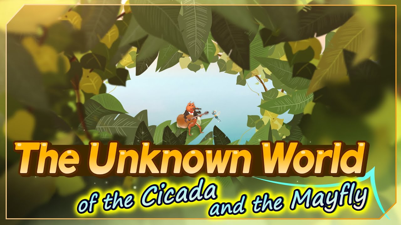 [FactPlus] The Unknown World of the Cicada and the Mayfly | World Mission Society Church of God