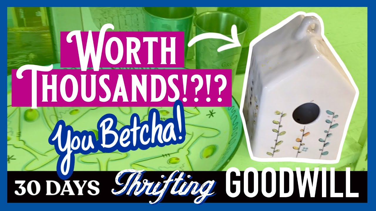 DAY 20: MY BIGGEST THRIFT FIND EVER!!!! | THRIFT WITH ME | 30 DAYS THRIFTING GOODWILL