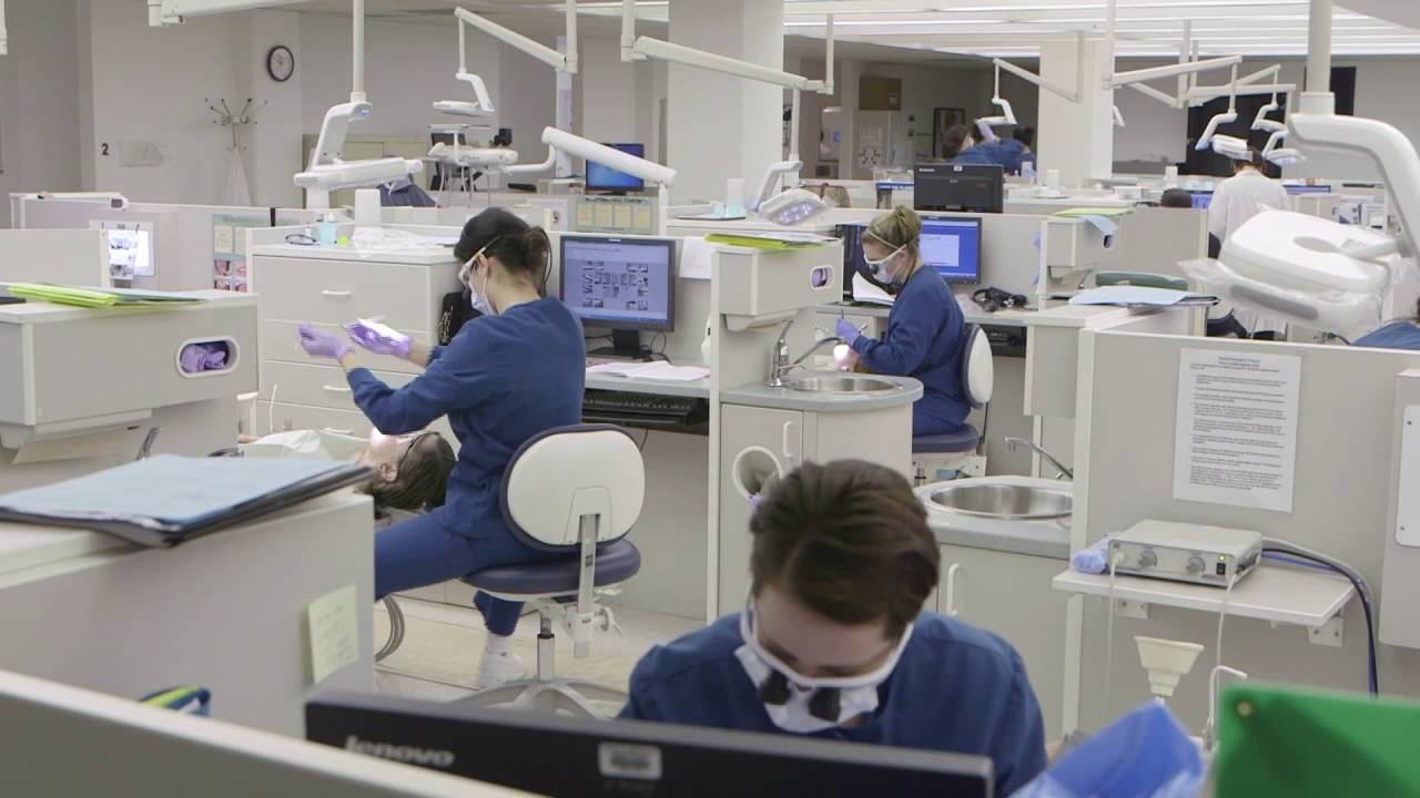 Dental Hygienist: Health Sciences at Hudson Valley Community College